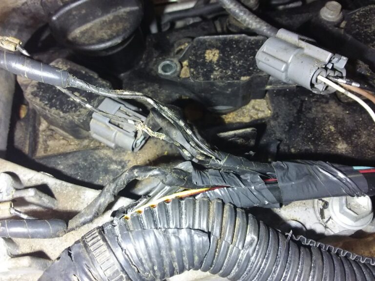 The cost of rodent damage to your vehicle - theGarage.ca - auto